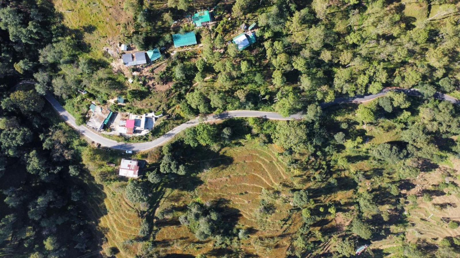 Zenoaks Homestay Алмора Экстерьер фото